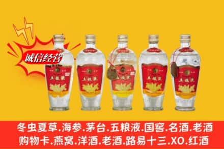 普洱市孟连回收老五粮液