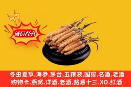 普洱市孟连求购回收虫草多少钱每克